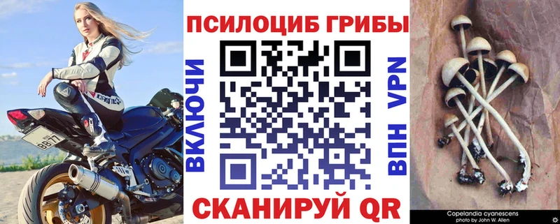 Псилоцибиновые грибы MAGIC MUSHROOMS  KRAKEN ссылки  Курчатов 